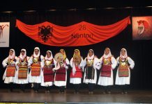 Kronika e manifestimeve në Zvicër, kushtuar Ditën së flamurit