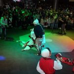Kercova 2014