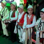 Kercova 2014