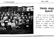 Austria e ndihmoi shkollimin, shkencën, kulturën dhe pavarësinë e shqiptarëve