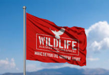 Wildlife Albanian Photographer, ftesë publike për bashkëpunim