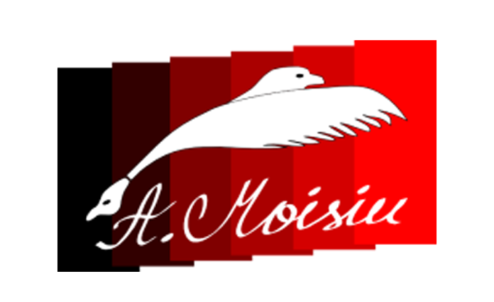 Logo_viena