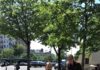 Një pikëtakim në Paris