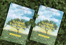 Blerim Rrecaj: Gjurmë kujtimesh e ngjyra stinësh, Prishtinë, 2020