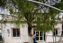 Në Sarandë, krahas vargjeve, jeton edhe pema që mbolli Naim Frashëri!