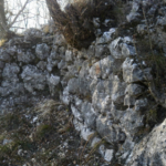 20190123115817 kalaja e dajtit foto