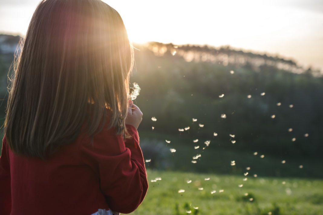 View of a child wearing a red blouse and blowing dandelion in a field while on a sunny day