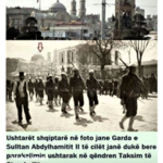 Bild7 (2)