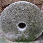 Radavanvet