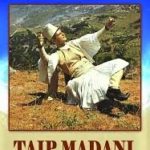 Taip 2 (2)