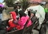 E mërkurë, 21 prill 1999, Kukës: Mikpritje e paparë për vëllezërit kosovarë