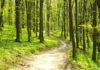 Blerim Rrecaj – Poezi