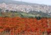 Barilli, qytezë arbëreshe e themeluar nga shkodranët e emigruar