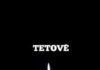 Mërgata me shpirt e me zemër me Tetovën!
