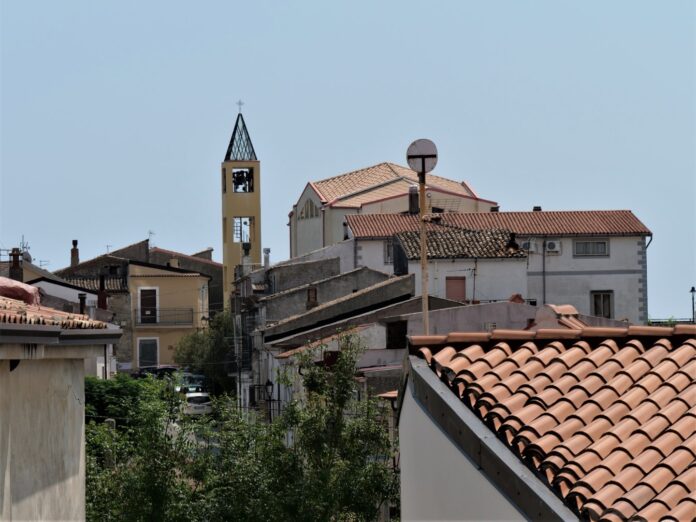 P1088325 (2)