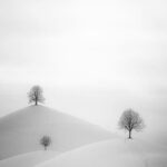 Hirzel