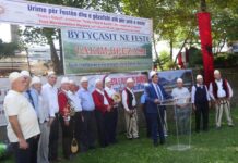 “Festa e Plisit ”, me cak shpalljen: “Festë Mbarëkombëtare”