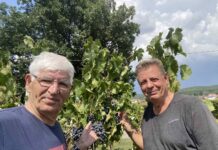 Shefi i Moevenpickut të Regensdorfit, kultivues rrushi e kumbullash në Kosovë
