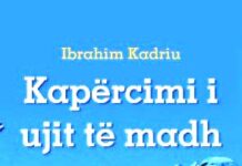 Bedri TAHIRI: PASQYRIMI ARTISTIK I TRAGJEDISË SË TIVARIT