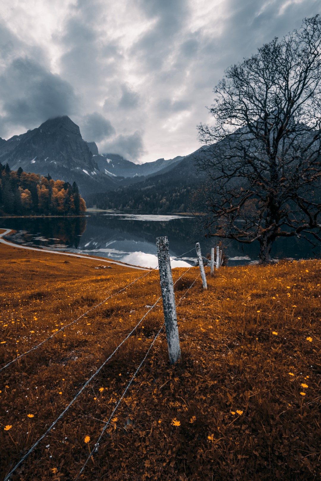 Glarus Alps