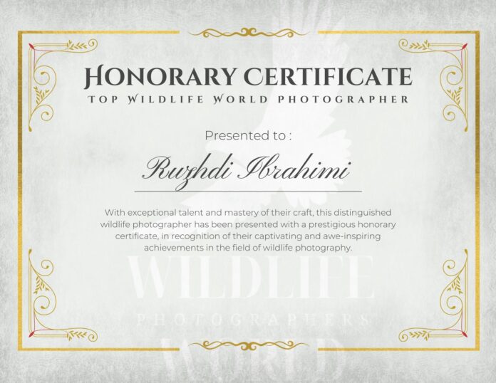 honorary_certificate