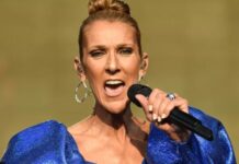 Celine Dion anulon turneun botëror, shkak problemet shëndetësore