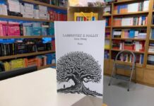 Doli nga shtypi libri i titulluar “ LABIRINTET E MALLIT” i autorit Genc Mekaj