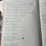 Bild5