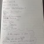Bild6