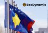 BeeDynamic Group – një agjenci e re për webfaqe