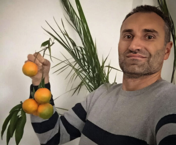 mandarina