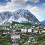 25) Leskoviku