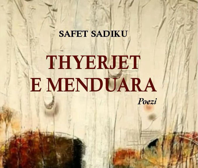 safetsadiku2