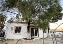 150 vjet nga mbjellja e një druri të rrallë nga Naim Frashëri në Sarandë