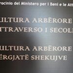 2)