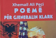 Bedri TAHIRI: Vargje lapidar për gjeneralin shpëtimtar