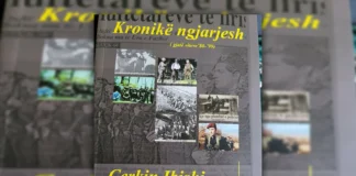 Dëshmia si letërsi dhe kujtesa si rezistencë në veprën “Kronikë ngjarjesh (’80–’99)” të Çerkin Ibishit