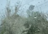 Dhuratë një detaj