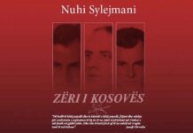 AKUZA PA DËSHMI NDAJ NUHI SYLEJMANIT NUK MUND TË KALOJË NË HESHTJE Screenshot