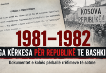 PARA BASHKIMIT TË VITIT 1982: DOKUMENTI QË DËSHMON THIRRJEN PËR BASHKIM RRETH KËRKESËS PËR REPUBLIKË Levitja per republike fillon para vitit