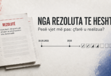 NGA REZOLUTA TE HESHTJA: ÇFARË NDODHI ME PREMTIMIN PËR PËRFSHIRJEN E DIASPORËS? Rezolute PS shqiptaro zvicerane