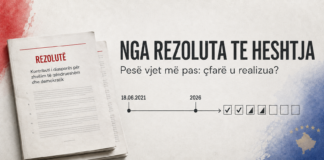 NGA REZOLUTA TE HESHTJA: ÇFARË NDODHI ME PREMTIMIN PËR PËRFSHIRJEN E DIASPORËS? Rezolute PS shqiptaro zvicerane