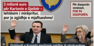 PSE VAZHDON TË NDËSHKOHET DIASPORA? Kartoni gjelber dhe milonat e qeverise