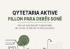 QYTETARIA AKTIVE FILLON PARA DERËS SONË Screenshot