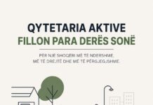 QYTETARIA AKTIVE FILLON PARA DERËS SONË Screenshot