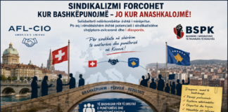 Profesionistët sindikal te diasporës shqiptare dhe sindikatat e vendit amë Sindkate e Kosoves dhe diaspora